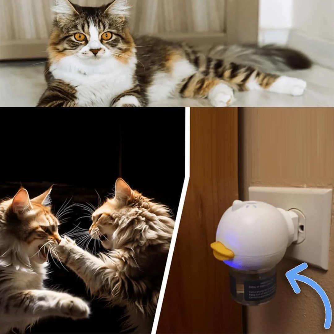 Difusor de Feromônios Calmantes para Gatos